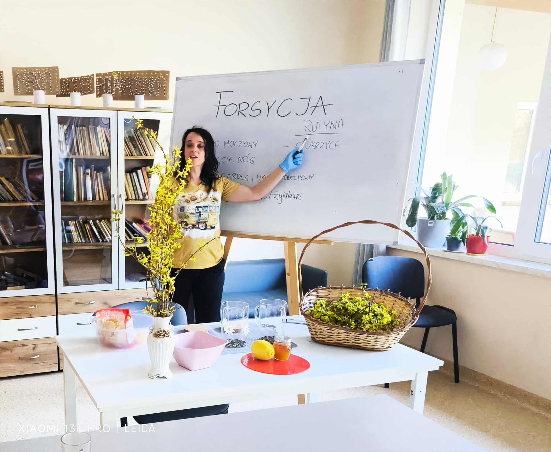 Prelekcja o forsycji i ziołach
